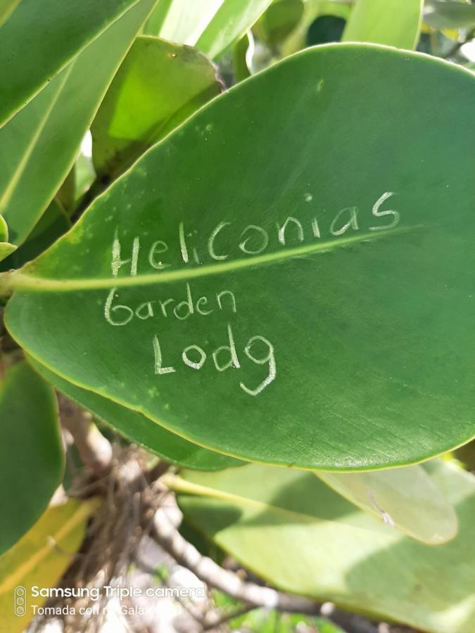 Garden Of Heliconias Lodge Drakes Bay Exteriér fotografie
